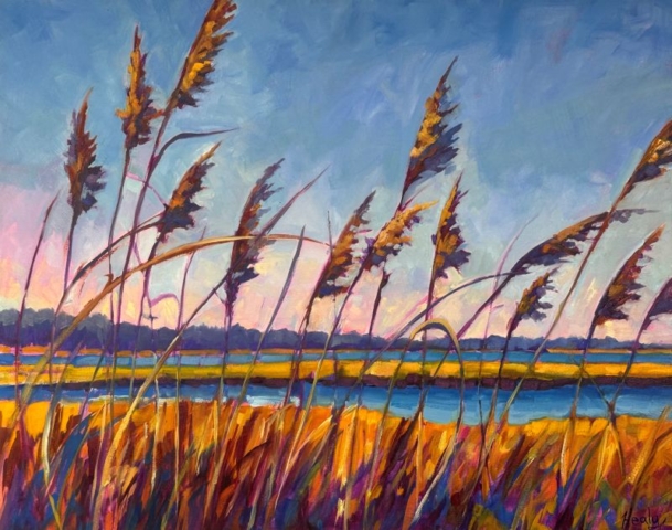 beach reeds at the coast, phragmites at the salt marsh